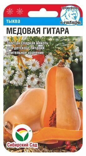 Тыква Медовая гитара Тыква Медовая гитара