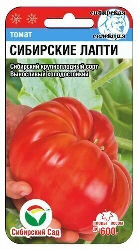 Томат Сибирские лапти Томат Сибирские лапти