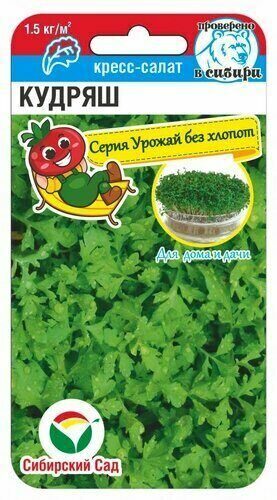 Кресс-салат Кудряш Кресс-салат Кудряш